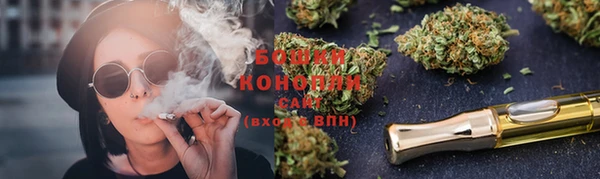 прущие грибы Заволжье