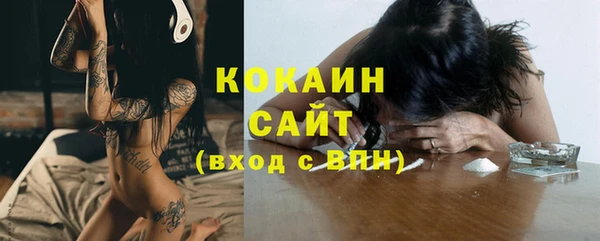прущие грибы Заволжье
