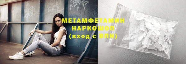 прущие грибы Заволжье