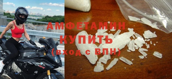 прущие грибы Заволжье