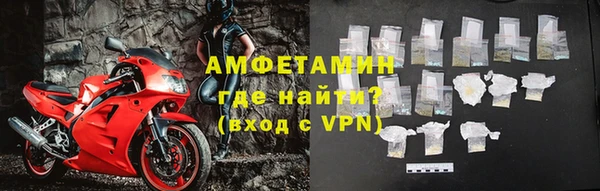прущие грибы Заволжье