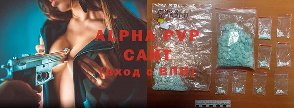 прущие грибы Заволжье